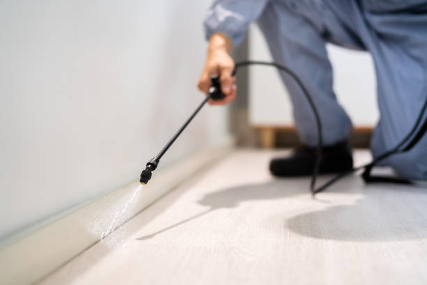 Licensed Pest Control service in Burney, CA - Show Me Pest Control
