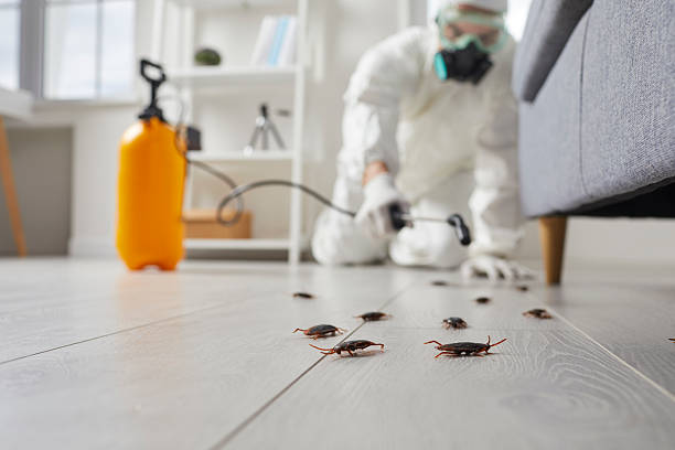 Commercial Rodent Management in Burney